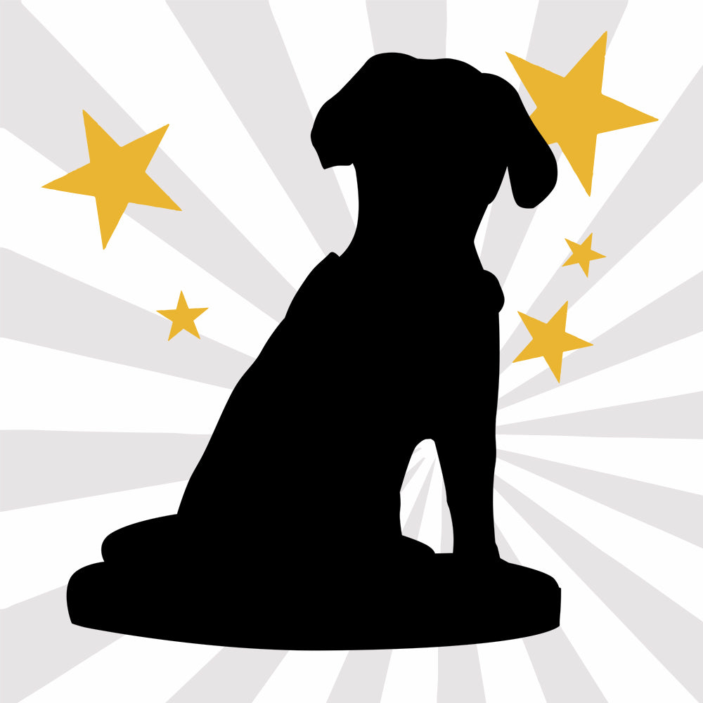 Personalisierte Haustier-Wackelkopf-Figur – Nach Foto gefertigt mit Gravur